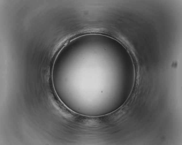 X0000115630107200911101446