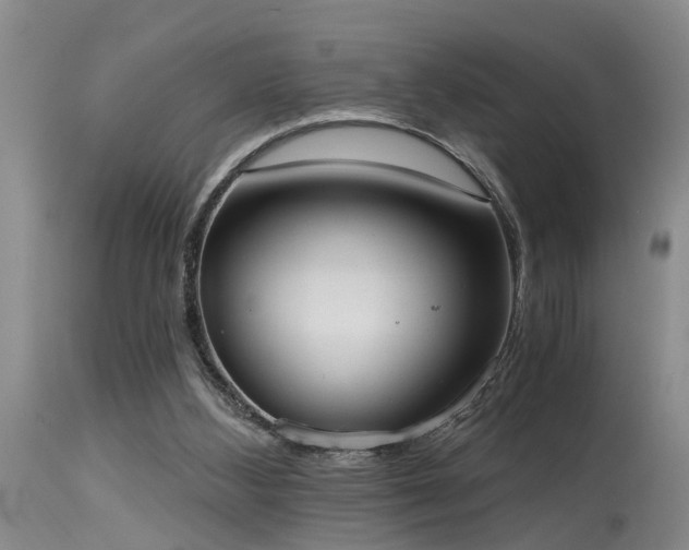 X0000115630108200911101446