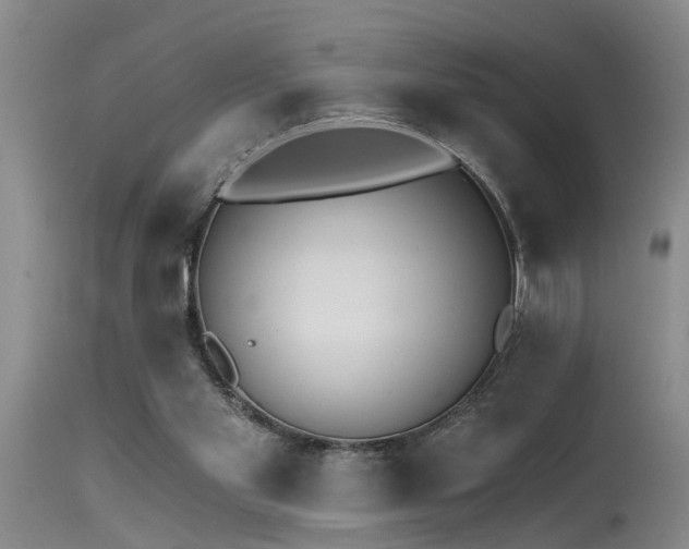 X0000115630109200911101446