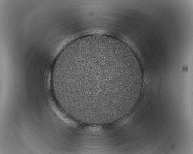 X0000115630110200911101446