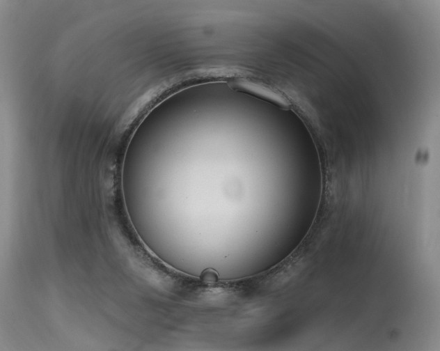X0000115630111200911101446