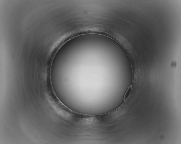 X0000115630112200911101446