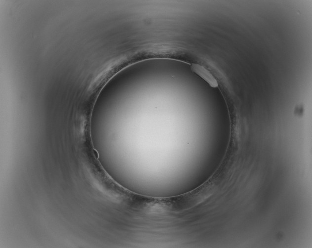 X0000115630115200911101446