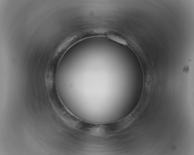 X0000115630116200911101446