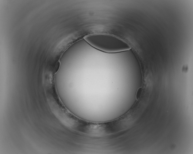 X0000115630117200911101446