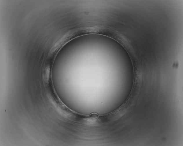 X0000115630118200911101446