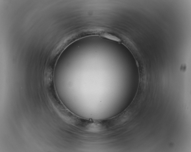 X0000115630119200911101446