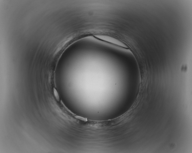 X0000115630120200911101446
