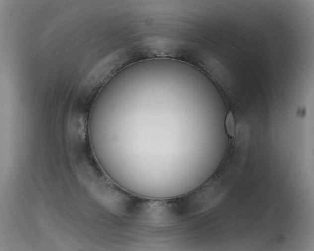 X0000115630121200911101446