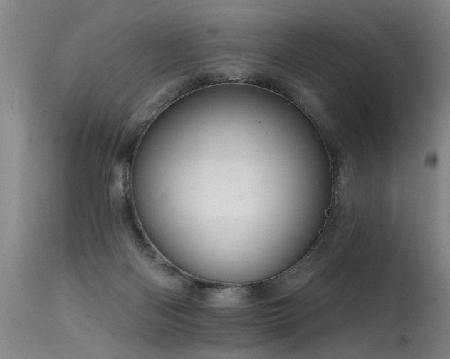 X0000115630122200911101446