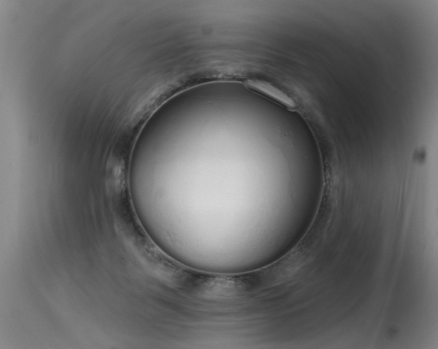 X0000115630123200911101446