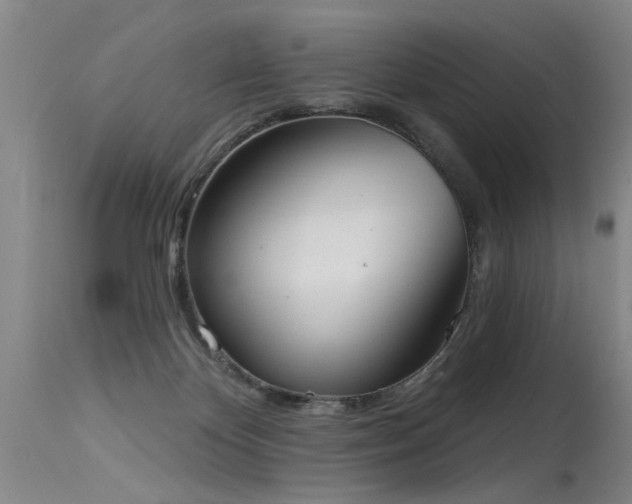 X0000115630124200911101446