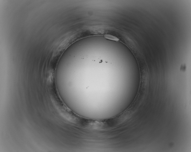 X0000115630125200911101446