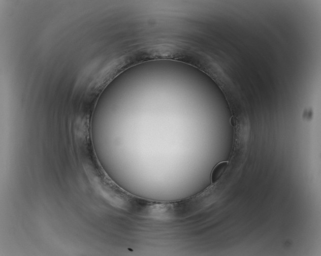 X0000115630126200911101446