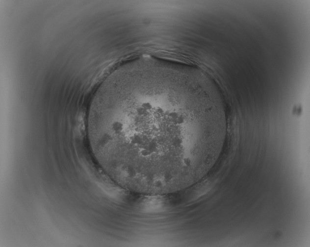 X0000115630127200911101446
