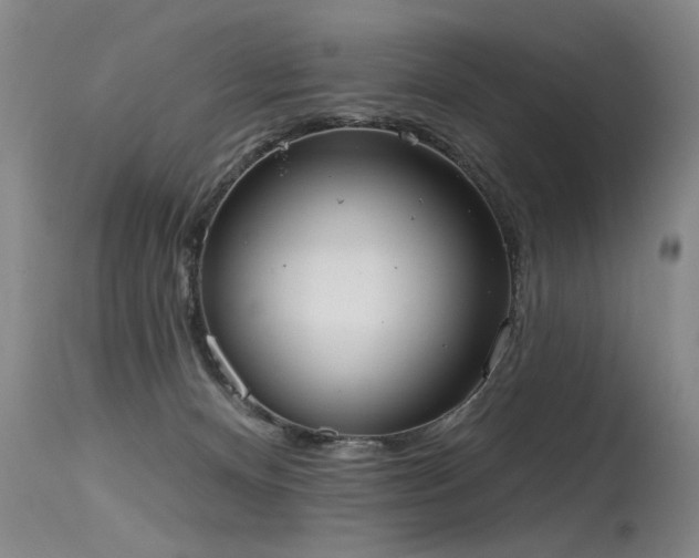 X0000115630128200911101446