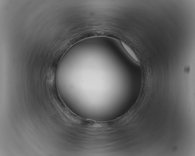 X0000115630129200911101446