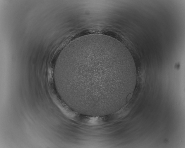 X0000115630130200911101446