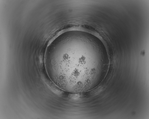 X0000115630131200911101446