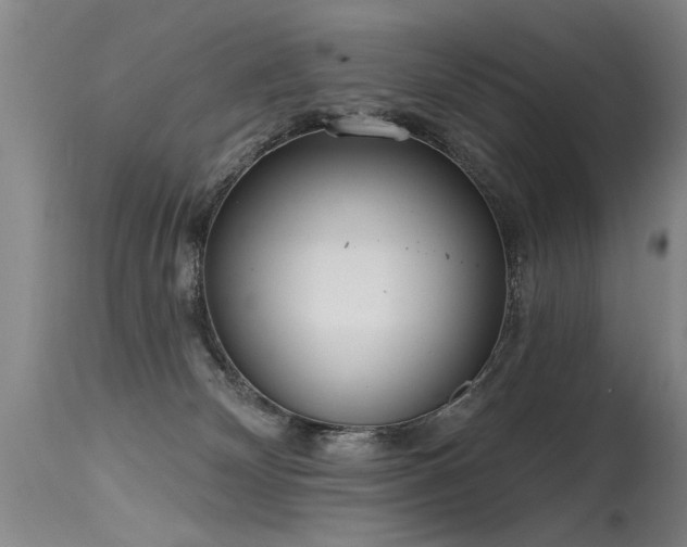 X0000115630132200911101446
