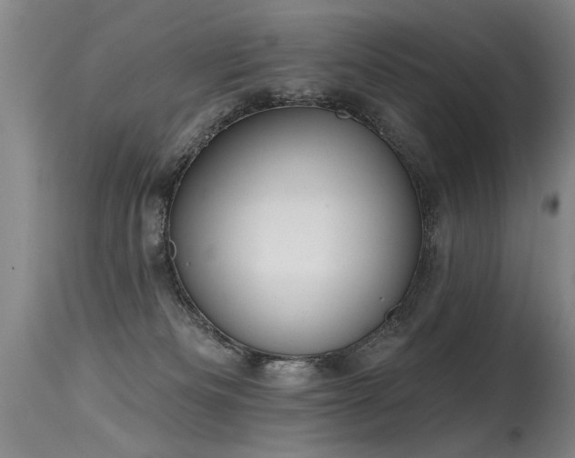 X0000115630133200911101446