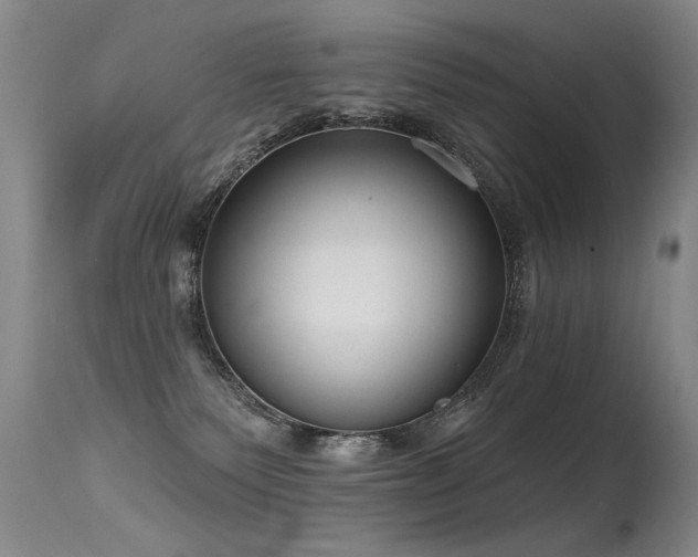 X0000115630135200911101446