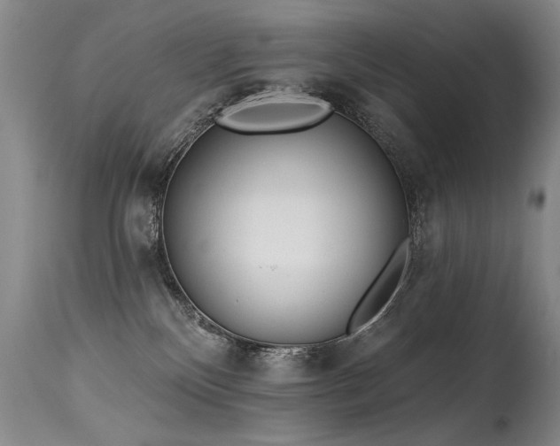 X0000115630136200911101446