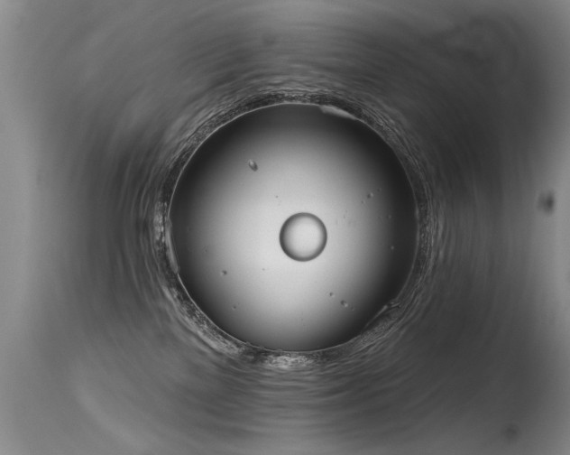 X0000115630137200911101446