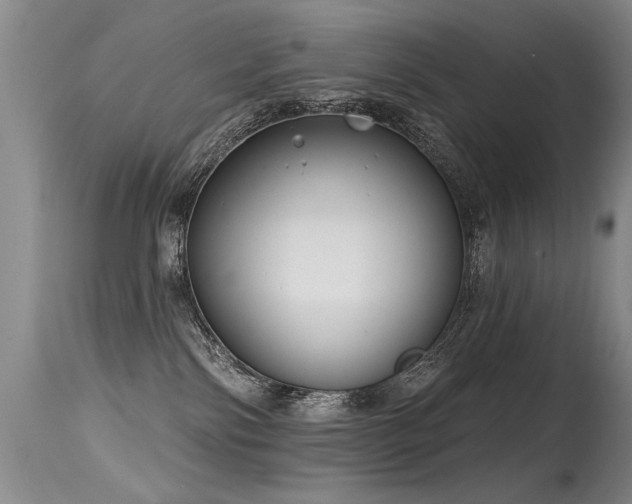 X0000115630138200911101446