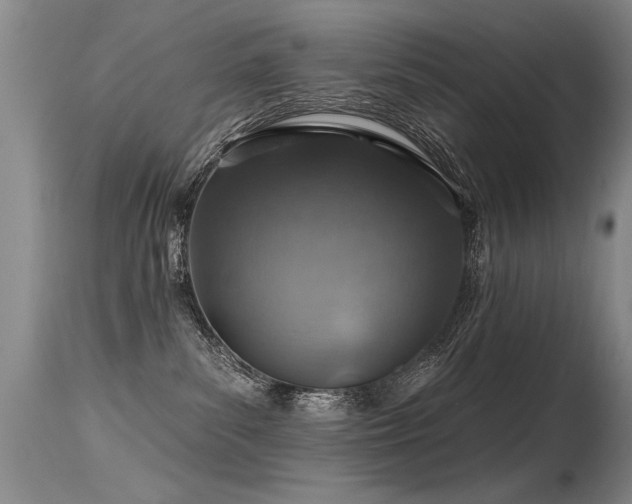 X0000115630139200911101446