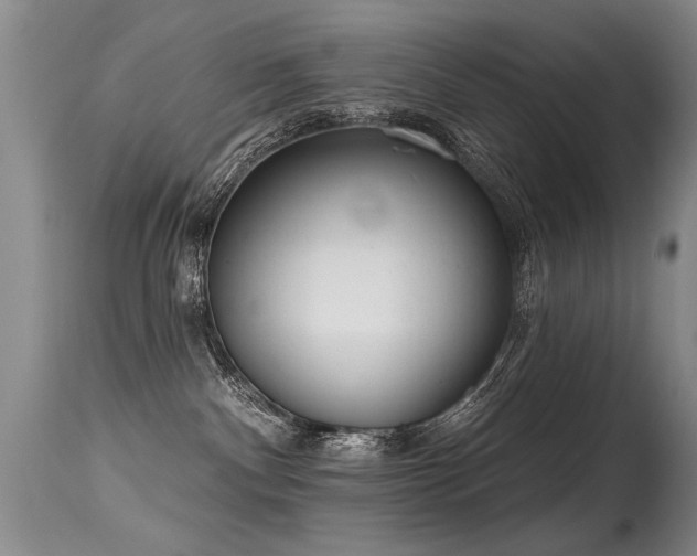X0000115630140200911101446