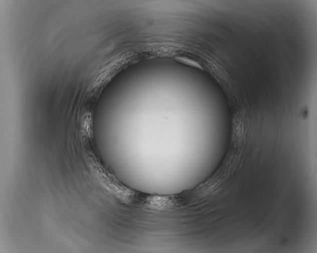 X0000115630141200911101446