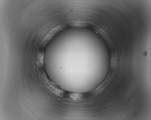 X0000115630142200911101446
