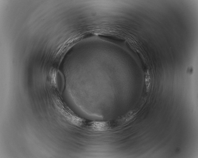 X0000115630143200911101446