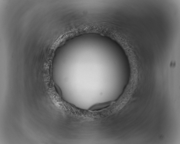 X0000115630144200911101446