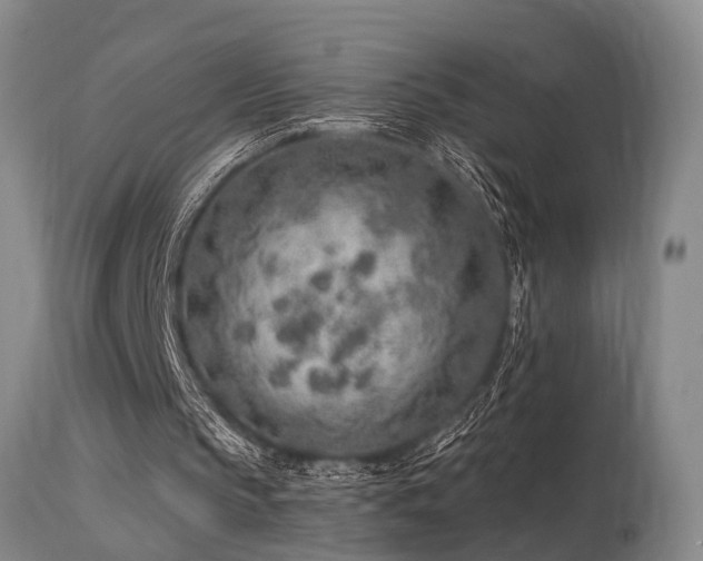 X0000115630145200911101445