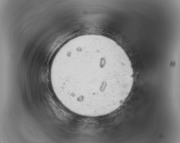 X0000115630146200911101445