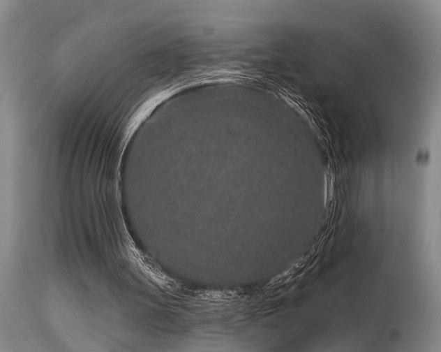 X0000115630147200911101445