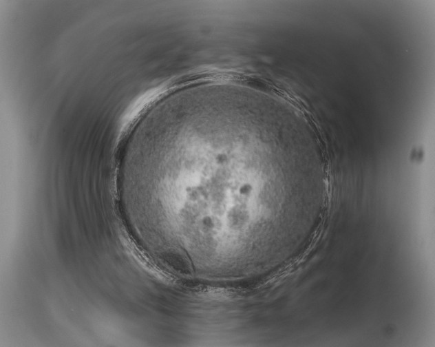 X0000115630149200911101445