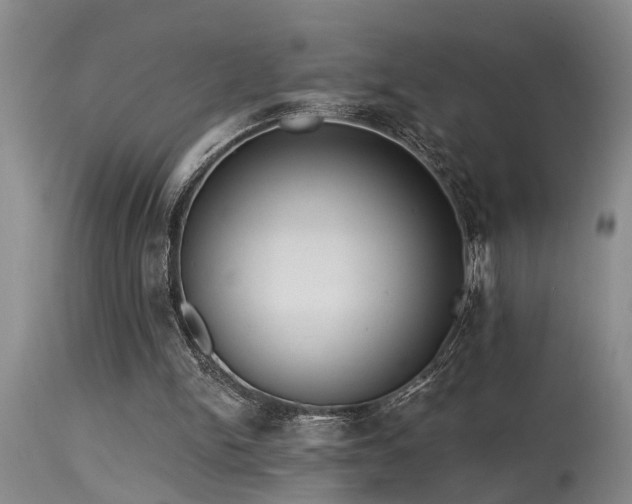 X0000115630150200911101445