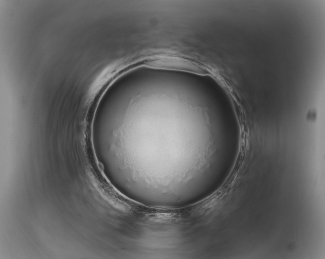 X0000115630151200911101445