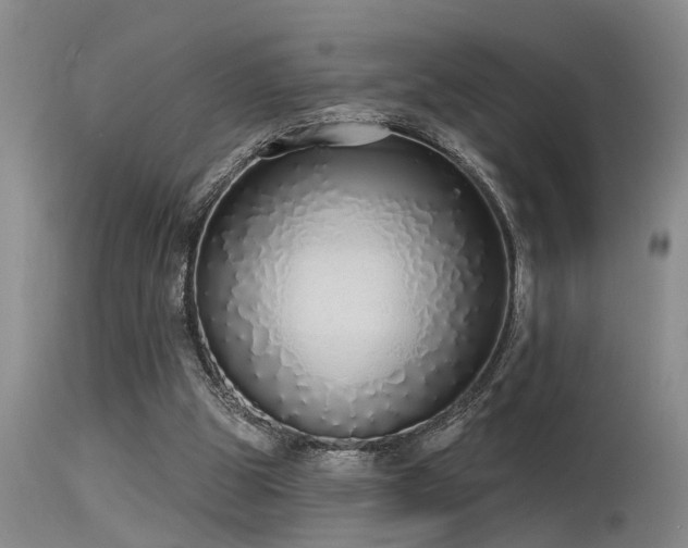 X0000115630153200911101445