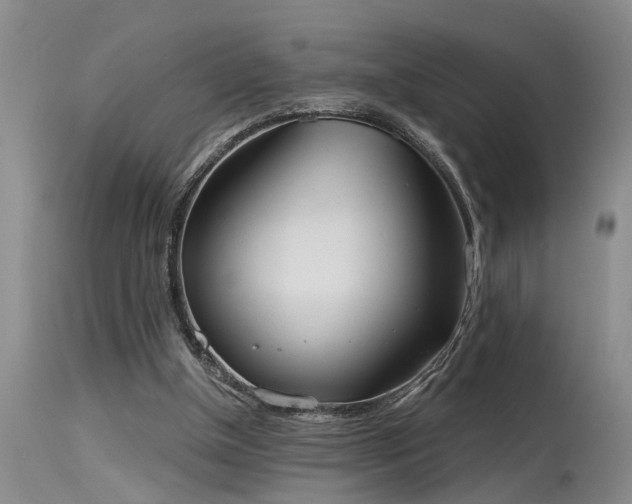 X0000115630154200911101445