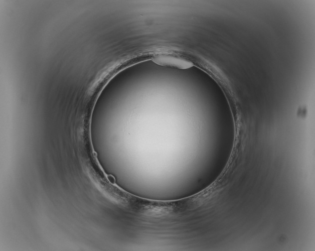 X0000115630155200911101445