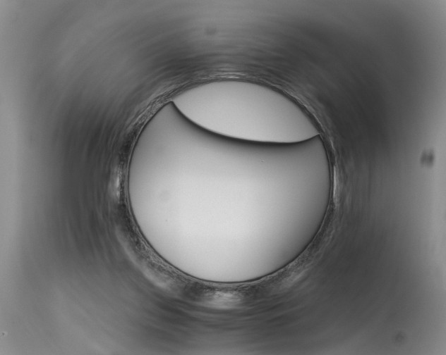 X0000115630157200911101445