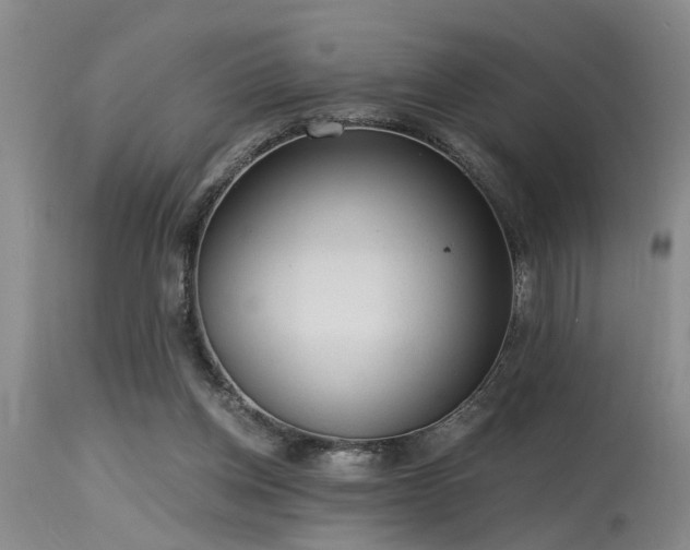 X0000115630158200911101445