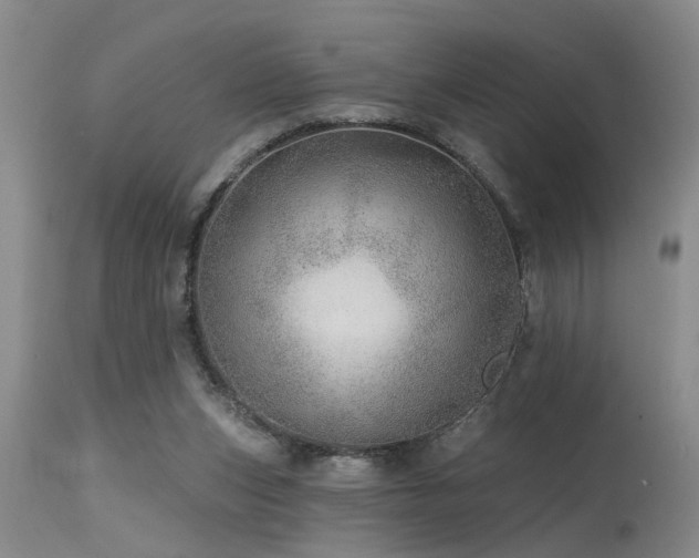 X0000115630159200911101445