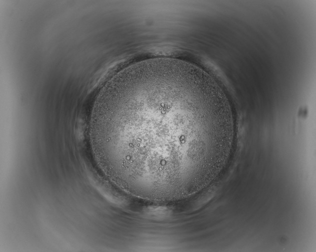 X0000115630161200911101445