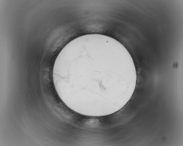 X0000115630162200911101445