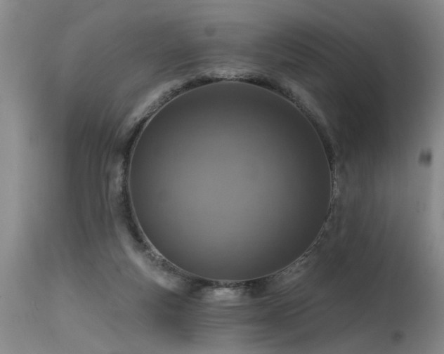 X0000115630163200911101445